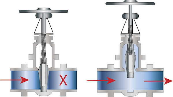 Globe valves and gate valves